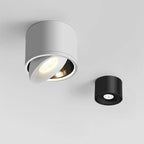 Plafondspot Met 360° Draaibare Lichtkop Voor Gerichte En Moderne Verlichting