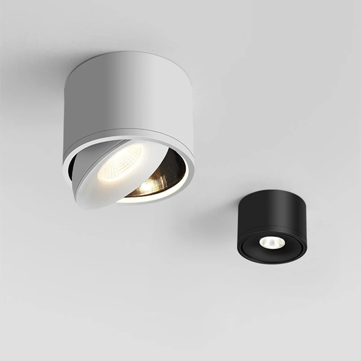Plafondspot Met 360° Draaibare Lichtkop Voor Gerichte En Moderne Verlichting