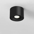 Plafondspot Met 360° Draaibare Lichtkop Voor Gerichte En Moderne Verlichting