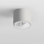 Plafondspot Met 360° Draaibare Lichtkop Voor Gerichte En Moderne Verlichting