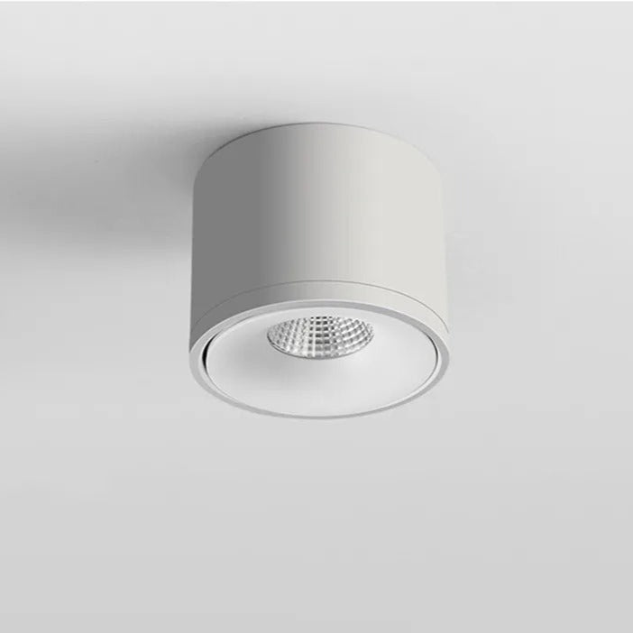 Plafondspot Met 360° Draaibare Lichtkop Voor Gerichte En Moderne Verlichting