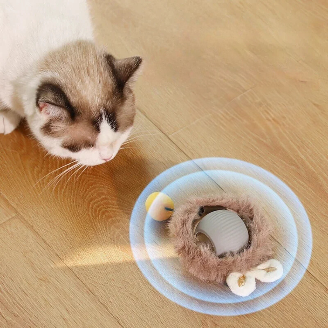 Interactief Kattenspeeltje Met Bewegende Staart Voor Actief En Uitdagend Speelplezier
