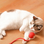 Interactief Kattenspeeltje Met Bewegende Staart Voor Actief En Uitdagend Speelplezier