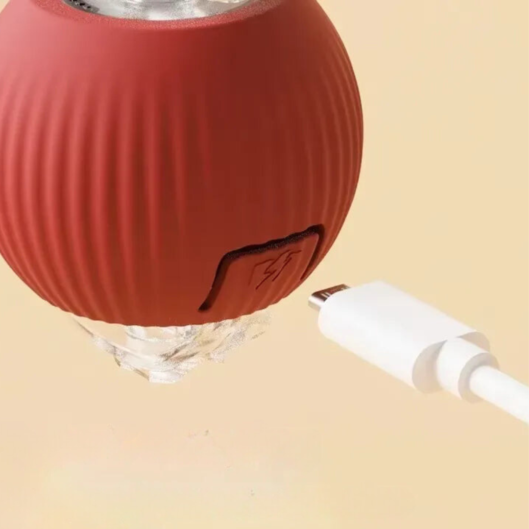 Interactief Kattenspeeltje Met Bewegende Staart Voor Actief En Uitdagend Speelplezier