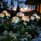 Solar Tuinaccent met Hydrangea‑Lichtbloemen voor Avondgloed en Sfeervolle Buitenruimtes