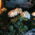 Solar Tuinaccent met Hydrangea‑Lichtbloemen voor Avondgloed en Sfeervolle Buitenruimtes