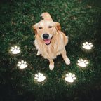 Solar Tuinlampen In Pootjes‑Design Met Automatische Werking
