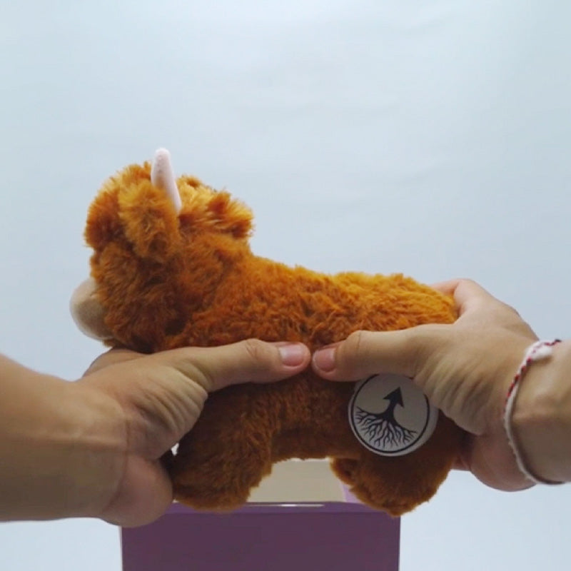 Pluche Hooglandrund Knuffel Voor Decoratie En Gezellig Comfort
