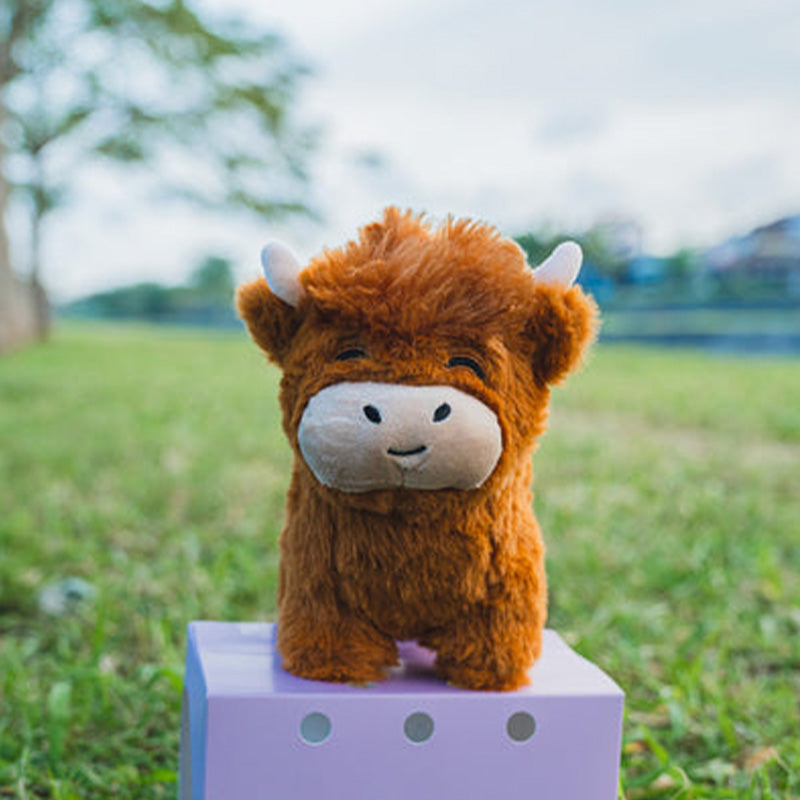 Pluche Hooglandrund Knuffel Voor Decoratie En Gezellig Comfort