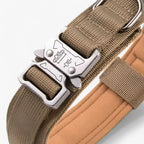 Stevige Hondenhalsband met Verstelbare Pasvorm en Comfortabele Voering