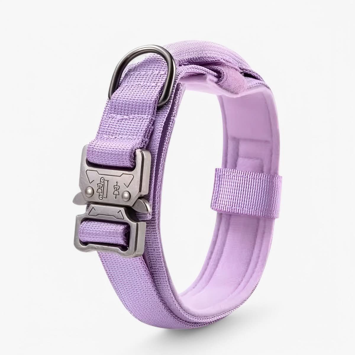 Stevige Hondenhalsband met Verstelbare Pasvorm en Comfortabele Voering