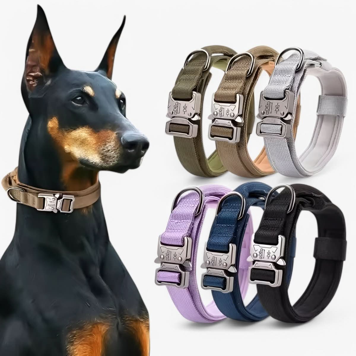 Stevige Hondenhalsband met Verstelbare Pasvorm en Comfortabele Voering