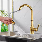 Uittrekbare Keukenkraan met Flexibele Sproeikop voor Spoelbak en Keuken